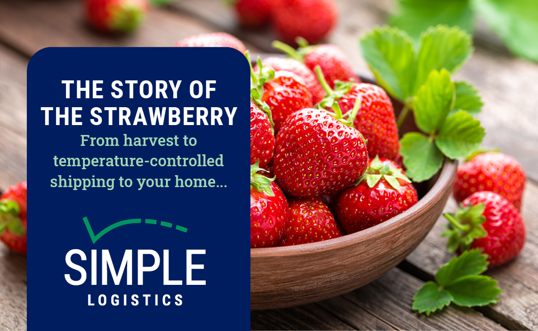 Fresh Strawberries in a bowl with title over image: The Story of the Strawberry