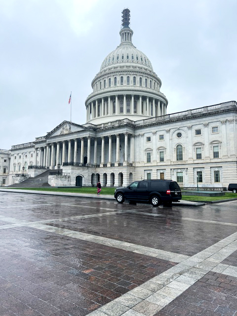 Photo of the US Capitol Building in Washington DC, on a cloudy day. 