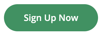 Sign Up now button